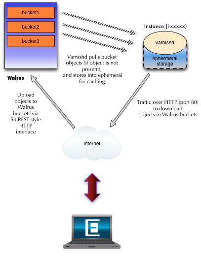 Varnishd-Walrus Architecture