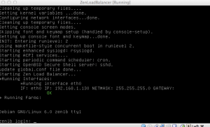 Zen Load Balancer Log-In Prompt